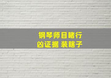 钢琴师目睹行凶证据 装瞎子